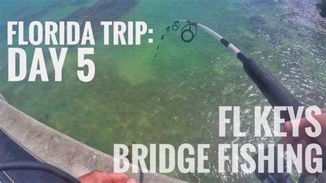 keys bridge fishing guide.